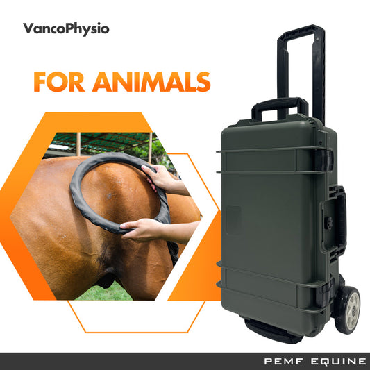 Animal Machine Newest Magnetic Therapy Machine Pemf Loop 24700 Pemf Gauss Support for Chronic Conditions Enhanced Recovery