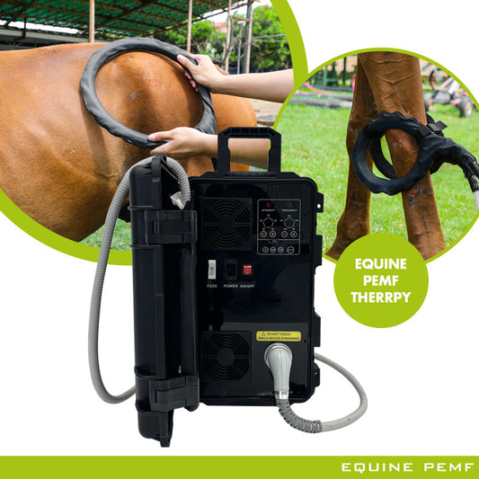 Portable Physio Magneto PMCT Pro Therapy Sport Injured Recovery Use