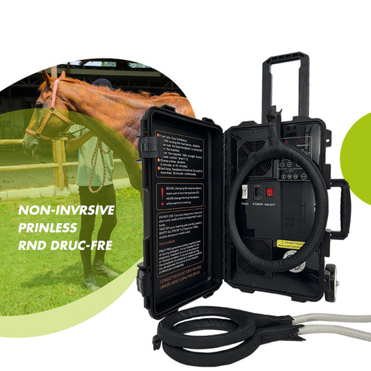 Portable Electro Pmct Pro Pain Relief Pemf Magnetic Therapy Device Horse