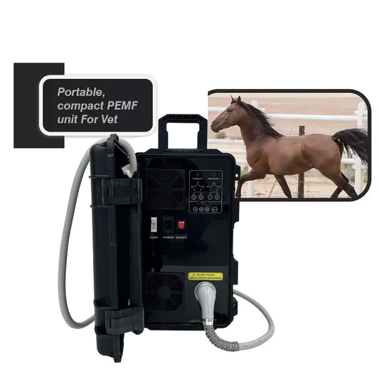 Portable Electro Pmct Pro Pain Relief Pemf Magnetic Therapy Device Horse
