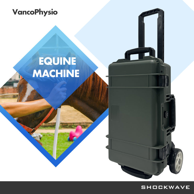 Non-invasive Equine Machine Big Treatment Area PMCT LOOP With Single Loop and Butterfly Loop for Horse Rehabilitation