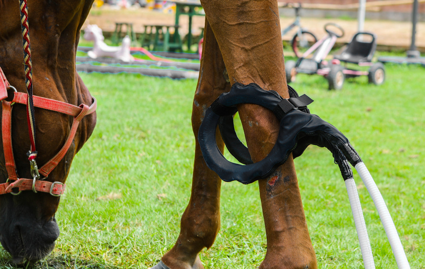 Non-invasive Equine Machine Big Treatment Area PMCT LOOP With Single Loop and Butterfly Loop for Horse Rehabilitation