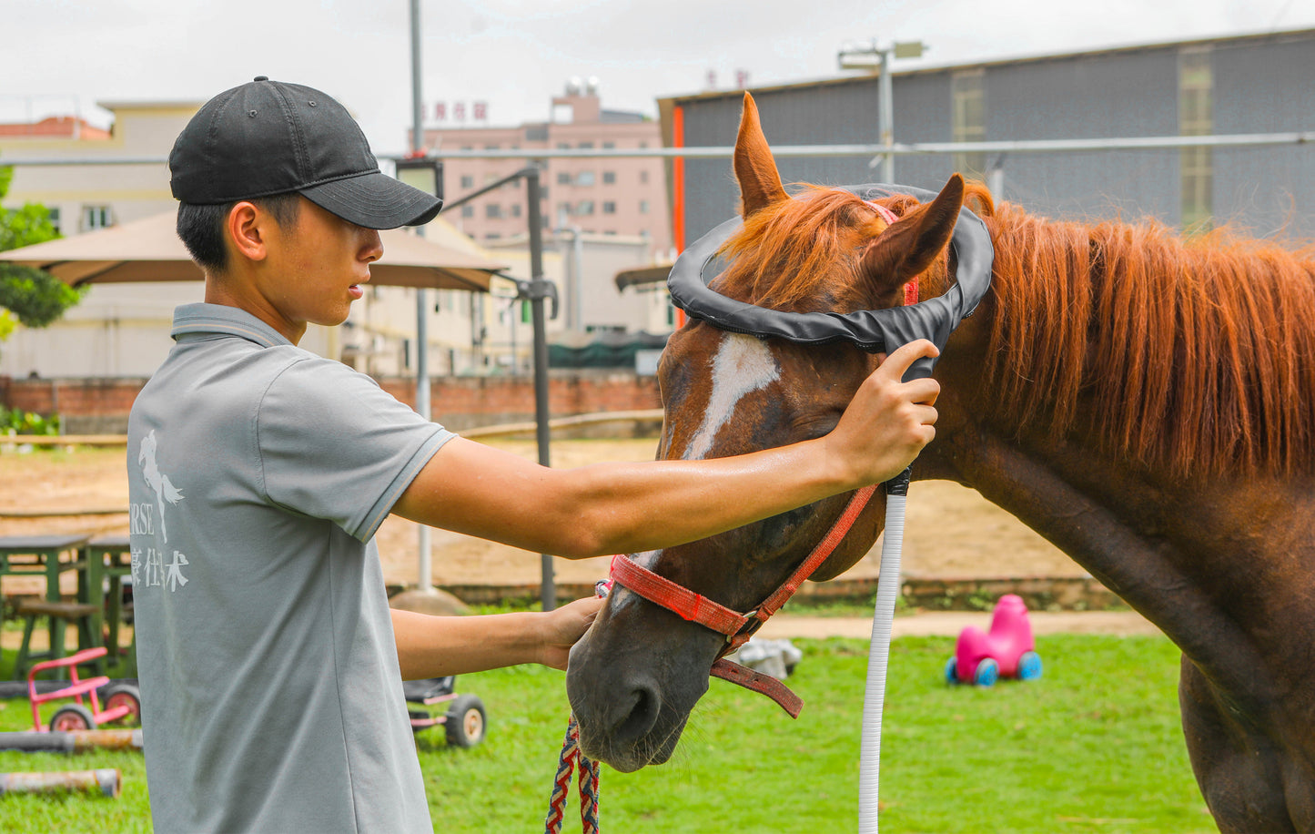 Non-invasive Equine Machine Big Treatment Area PMCT LOOP With Single Loop and Butterfly Loop for Horse Rehabilitation